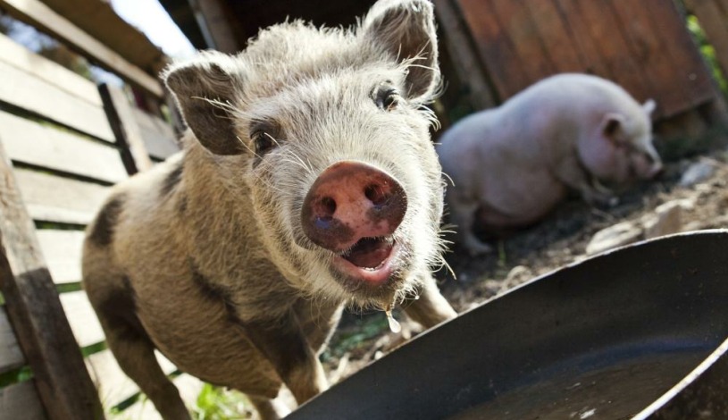 Wellness hotel Velveta Špindlerův Mlýn